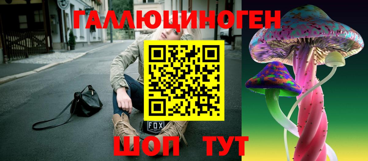 Галлюциногенные грибы Cubensis Касимов