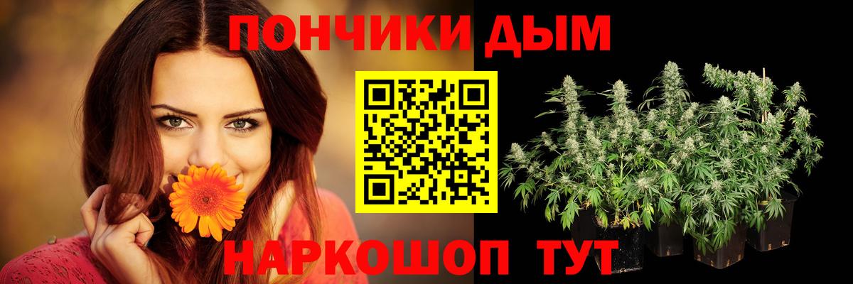 Каннабис семена  Конопля конопля  Вход с VPN  Касимов  Бошки Шишки гибрид 
